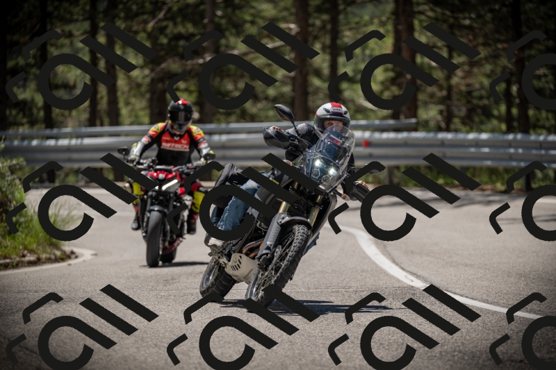 20250531120245-DSC_4237_am_