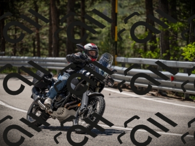 20250531120245-DSC_4238_am_