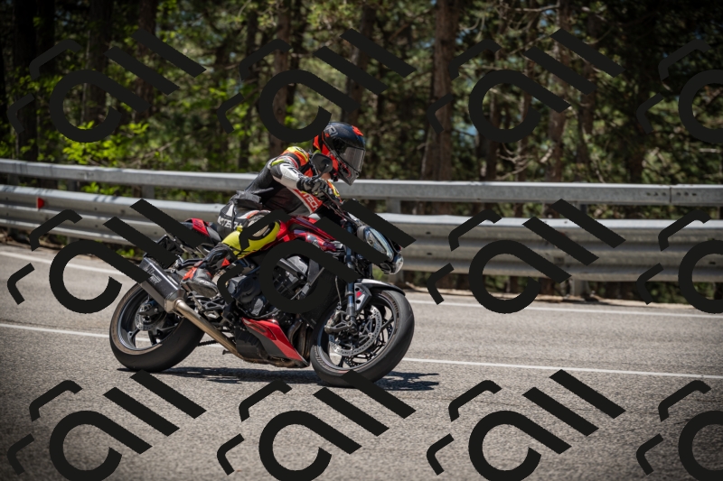 20250531120247-DSC_4240_am_