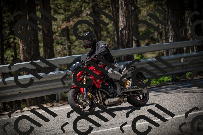 20250531120331-DSC_4243_am_