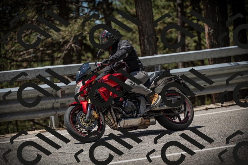 20250531120331-DSC_4244_am_