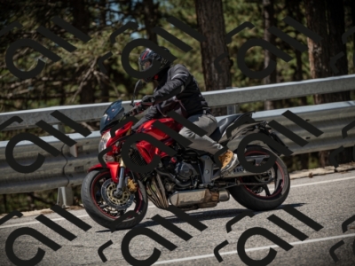 20250531120331-DSC_4244_am_