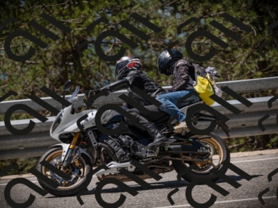 20250531120332-DSC_4245_am_