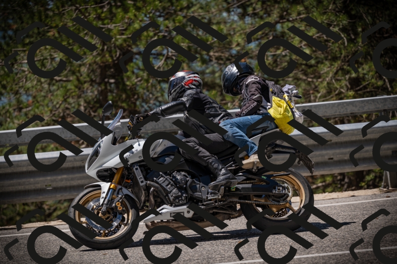 20250531120332-DSC_4245_am_