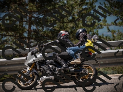 20250531120333-DSC_4246_am_