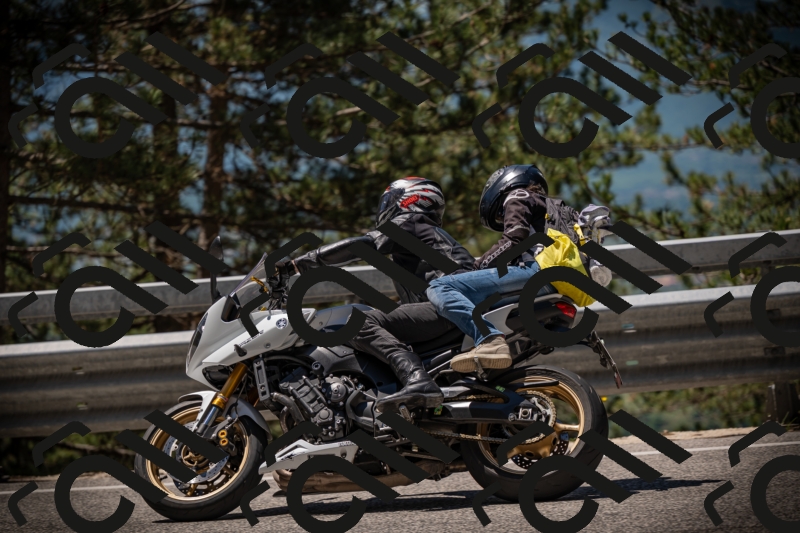 20250531120333-DSC_4246_am_