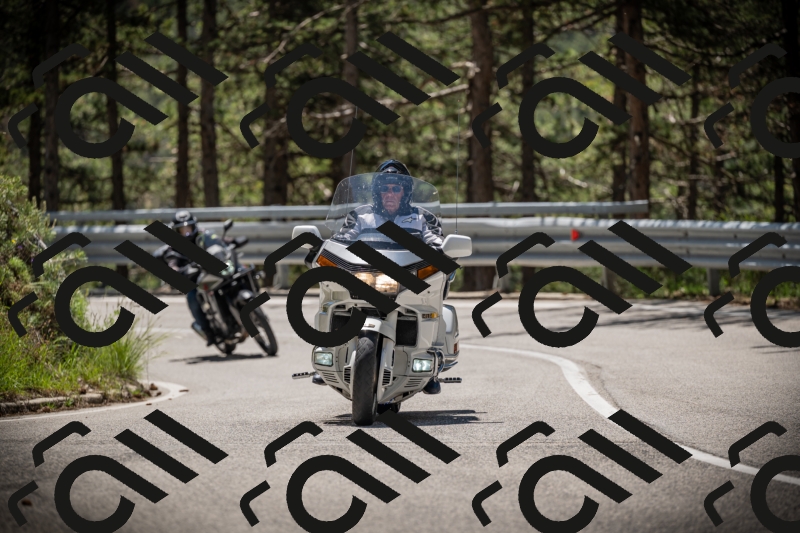 20250531120355-DSC_4249_am_