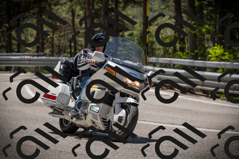 20250531120356-DSC_4252_am_