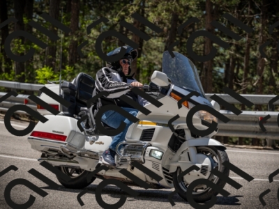 20250531120357-DSC_4253_am_