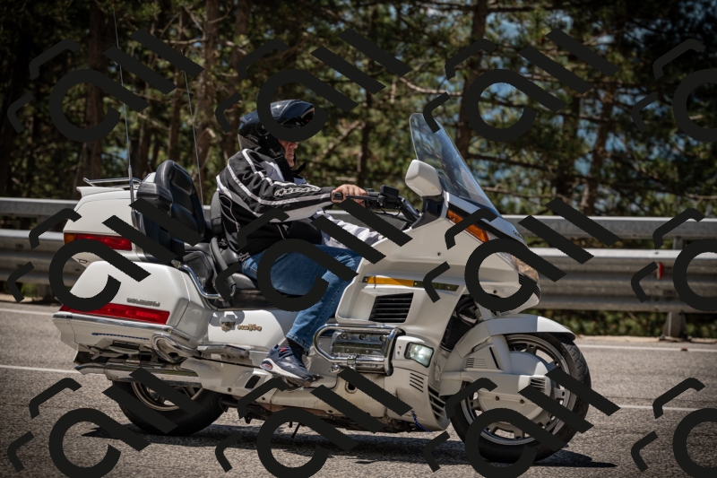 20250531120357-DSC_4254_am_