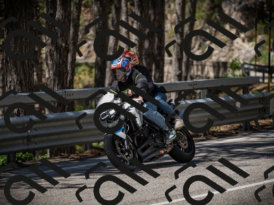 20250531120416-DSC_4270_am_