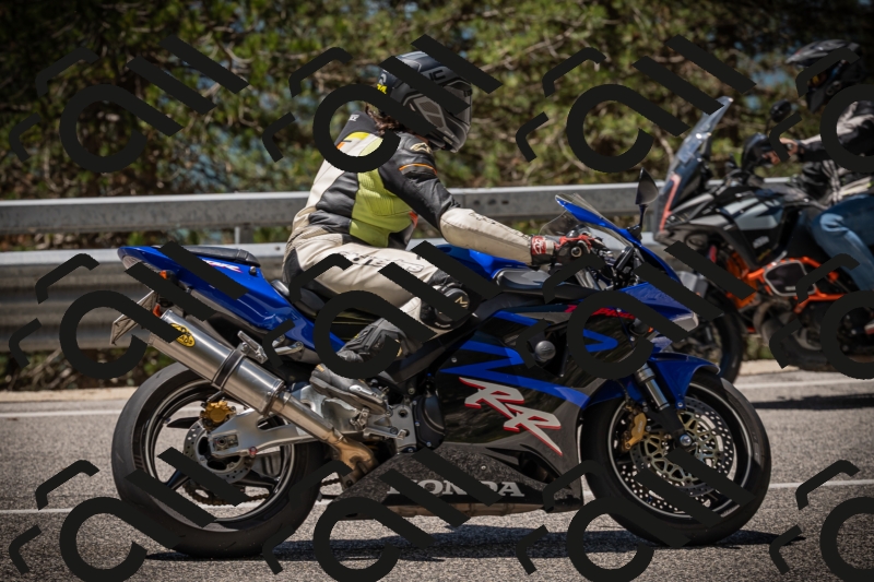 20250531120419-DSC_4276_am_