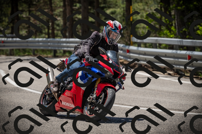 20250531120428-DSC_4280_am_