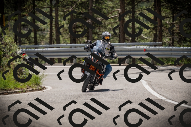 20250531120532-DSC_4286_am_