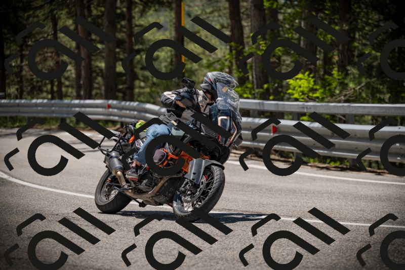 20250531120533-DSC_4287_am_