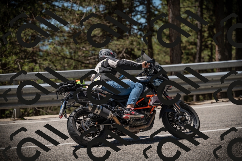 20250531120534-DSC_4289_am_