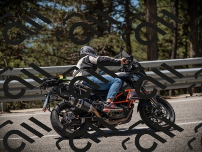 20250531120534-DSC_4289_am_