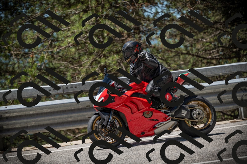 20250531120556-DSC_4293_am_