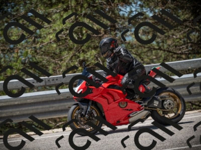 20250531120556-DSC_4293_am_