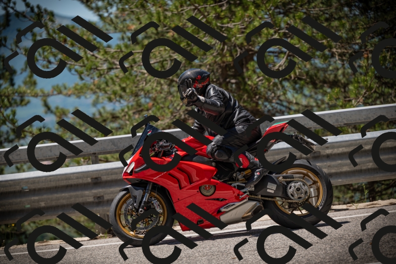 20250531120557-DSC_4294_am_