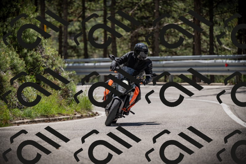 20250531120706-DSC_4295_am_