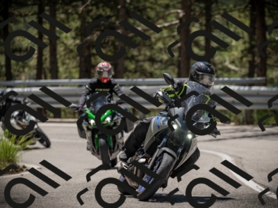 20250531120719-DSC_4299_am_