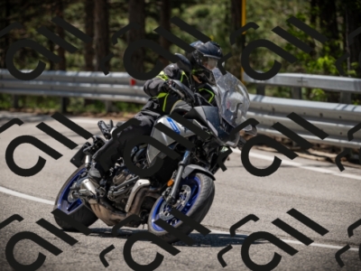 20250531120719-DSC_4300_am_