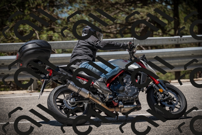 20250531120722-DSC_4306_am_