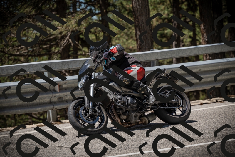 20250531120850-DSC_4331_am_