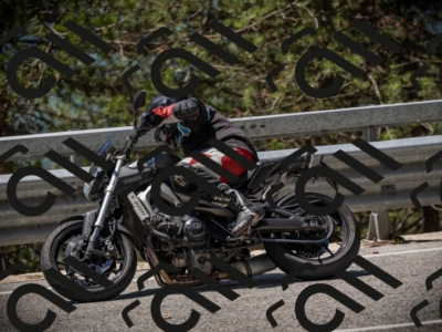 20250531120850-DSC_4332_am_