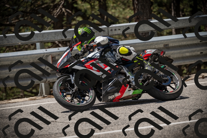 20250531120854-DSC_4334_am_