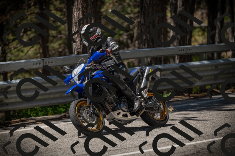 20250531120907-DSC_4338_am_