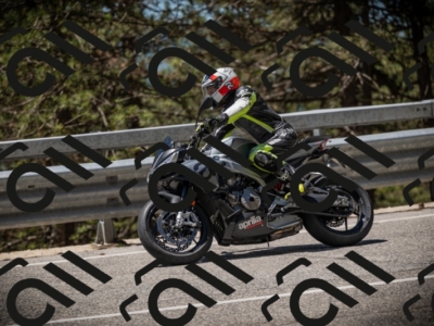 20250531120916-DSC_4345_am_