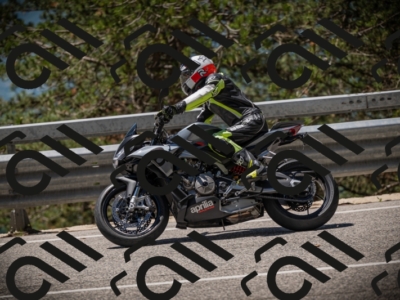 20250531120917-DSC_4346_am_