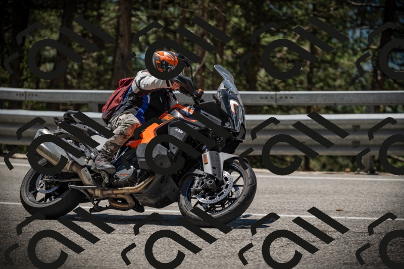 20250531120925-DSC_4350_am_