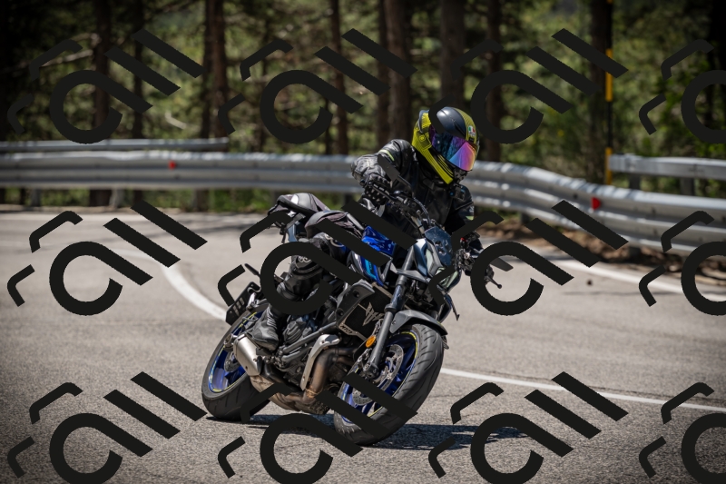 20250531121033-DSC_4362_am_