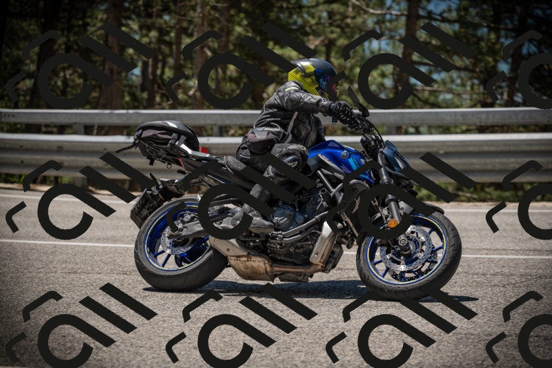 20250531121033-DSC_4363_am_