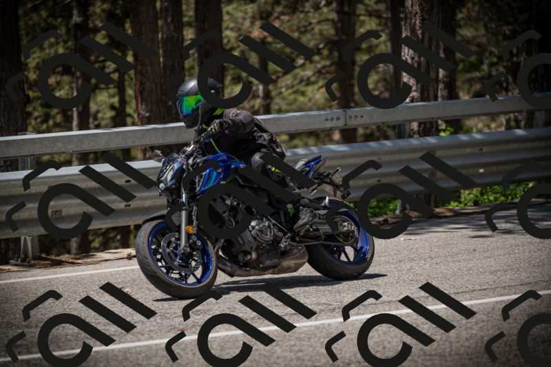 20250531121205-DSC_4373_am_