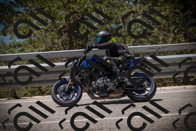 20250531121206-DSC_4374_am_