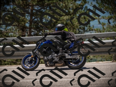 20250531121206-DSC_4375_am_