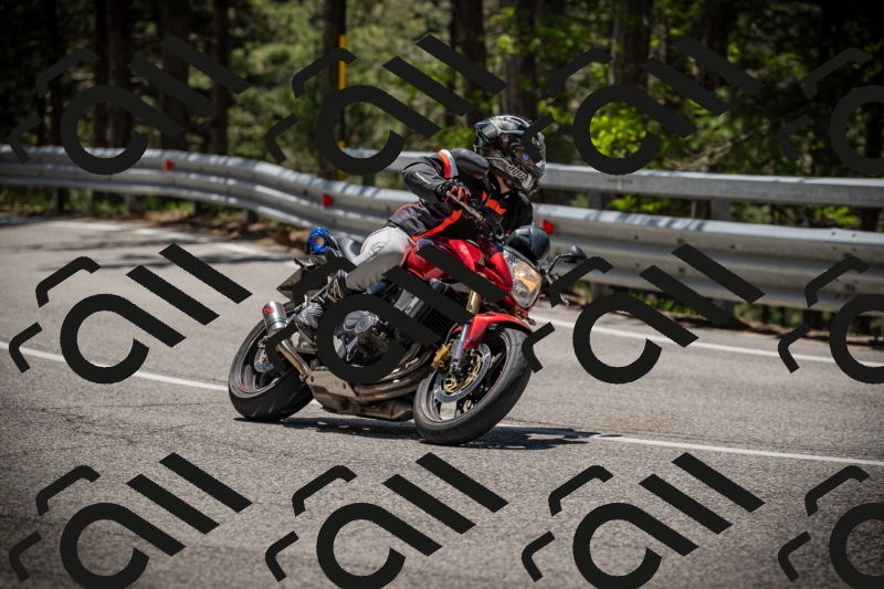 20250531121340-DSC_4382_am_