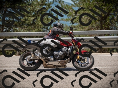 20250531121341-DSC_4384_am_