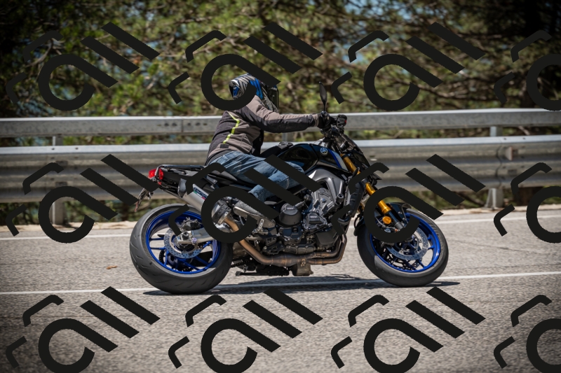 20250531121517-DSC_4388_am_