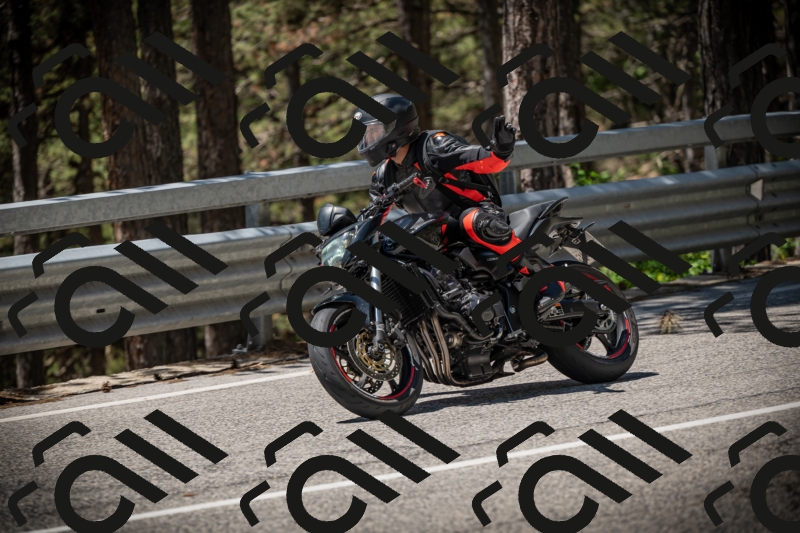 20250531121611-DSC_4400_am_