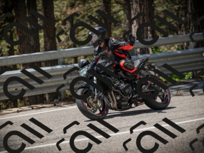 20250531121611-DSC_4400_am_