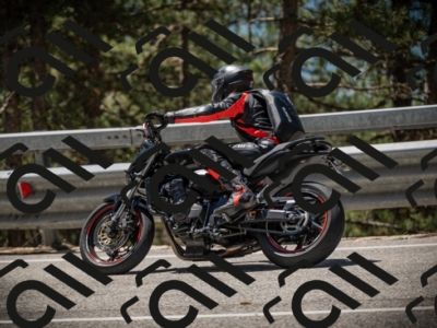 20250531121612-DSC_4402_am_