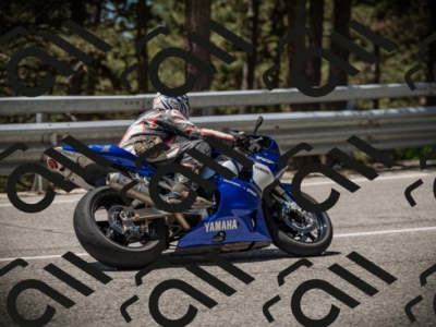 20250531121615-DSC_4405_am_