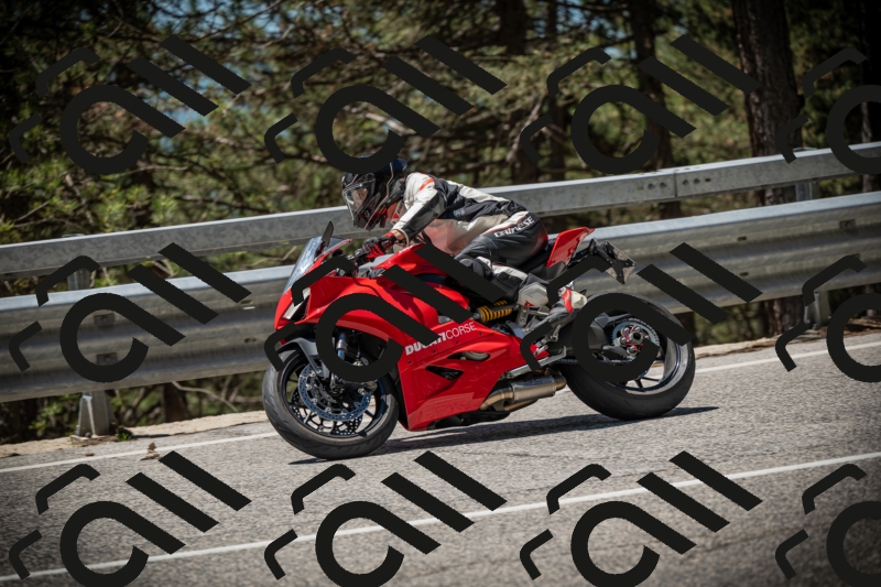 20250531121634-DSC_4406_am_