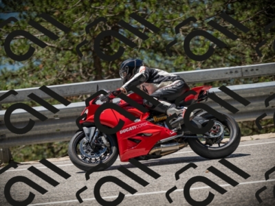 20250531121635-DSC_4407_am_