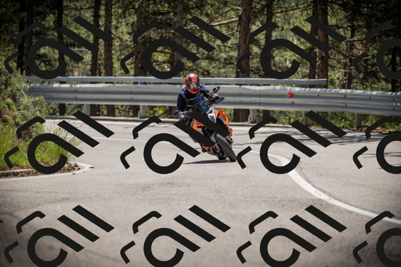 20250531121741-DSC_4414_am_